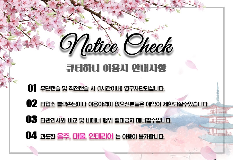 동대문 휴게텔 큐티하니 01066025787 3